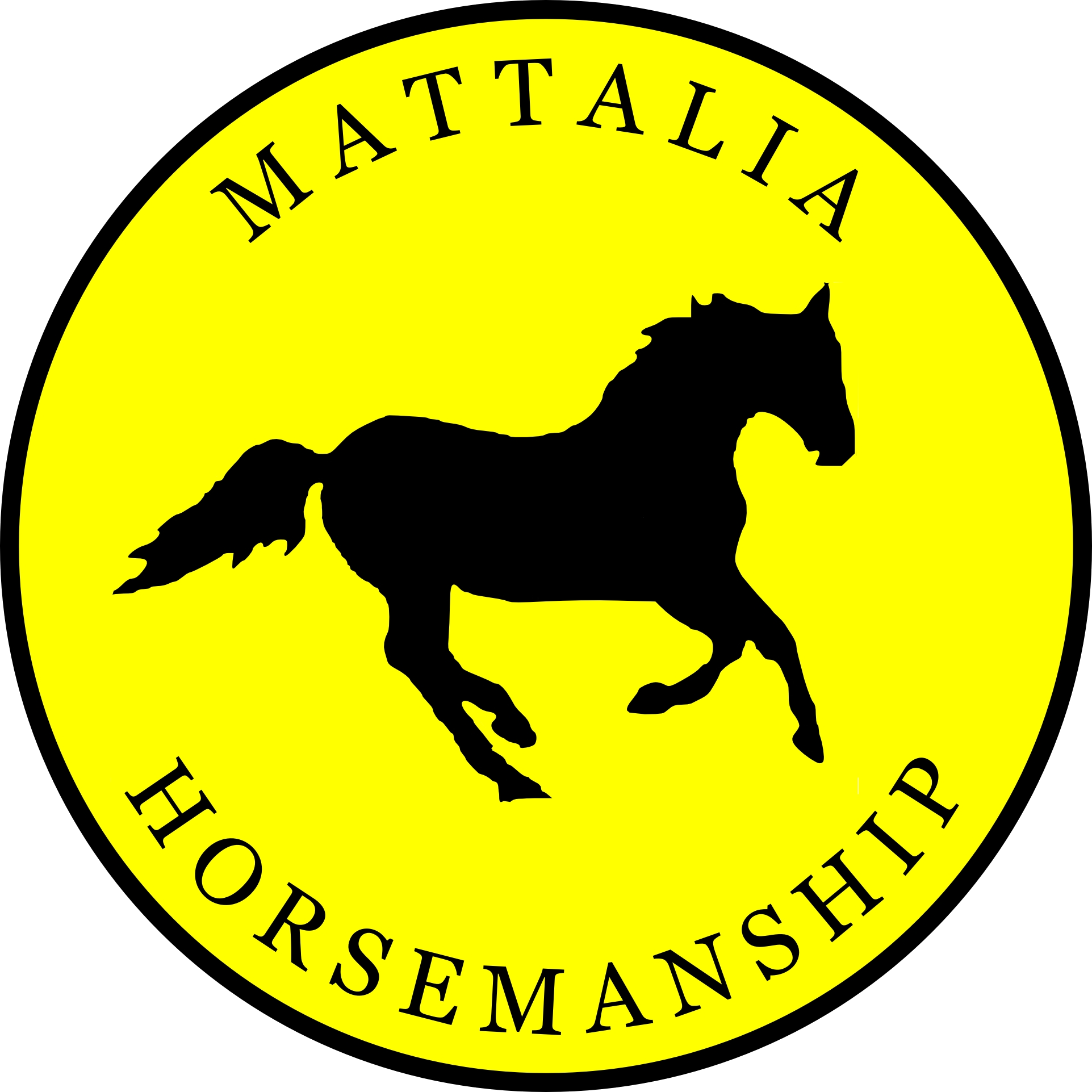 Mattalia Horsemanship